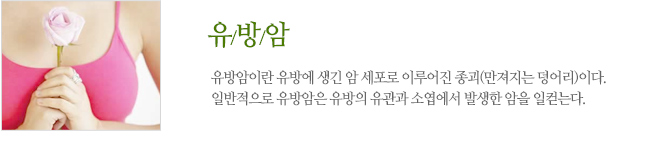 유방암이란 유방에 생긴 암 세포로 이루어진 종괴(만져지는 덩어리)이다. 일반적으로 유방암은 유방의 유관과 소엽에서 발생한 암을 일컫는다.