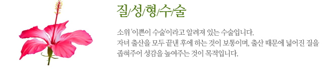 질성형수술 소위 '이쁜이 수술'이라고 알려져 있는 수술입니다. 자녀 출산을 모두 끝낸 후에 하는 것이 보통이며, 출산 때문에 넓어진 질을 좁혀주어 성감을 높여주는 것이 목적입니다.