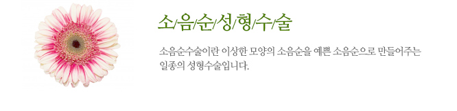 소음순성형수술 소음순수술이란 이상한 모양의 소음순을 예쁜 소음순으로 만들어주는 일종의 성형수술입니다.
