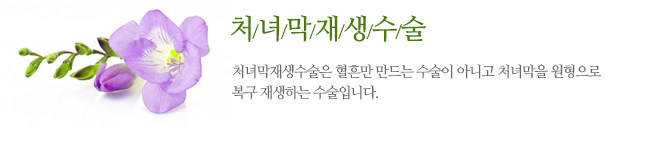 처녀막재생수술 처녀막재생수술은 혈흔만 만드는 수술이 아니고 처녀막을 원형으로 복구 재생하는 수술입니다.